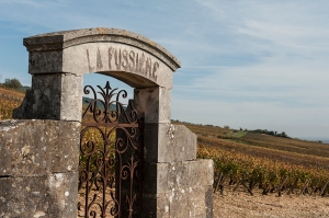 La Fussière, a big name in Maranges