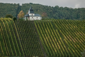 A chapel overlooks the village of Leiwen from the steep west facing slopes above the Mosel